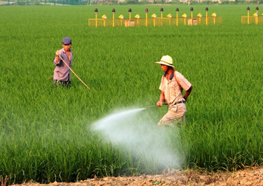作物害虫抗药性的预防应对方法