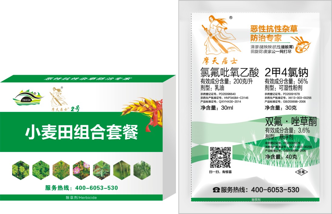 С����ݼ�Ħ���ʿ2��