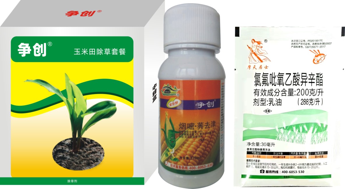 ���׳��ݼ����������ײ�